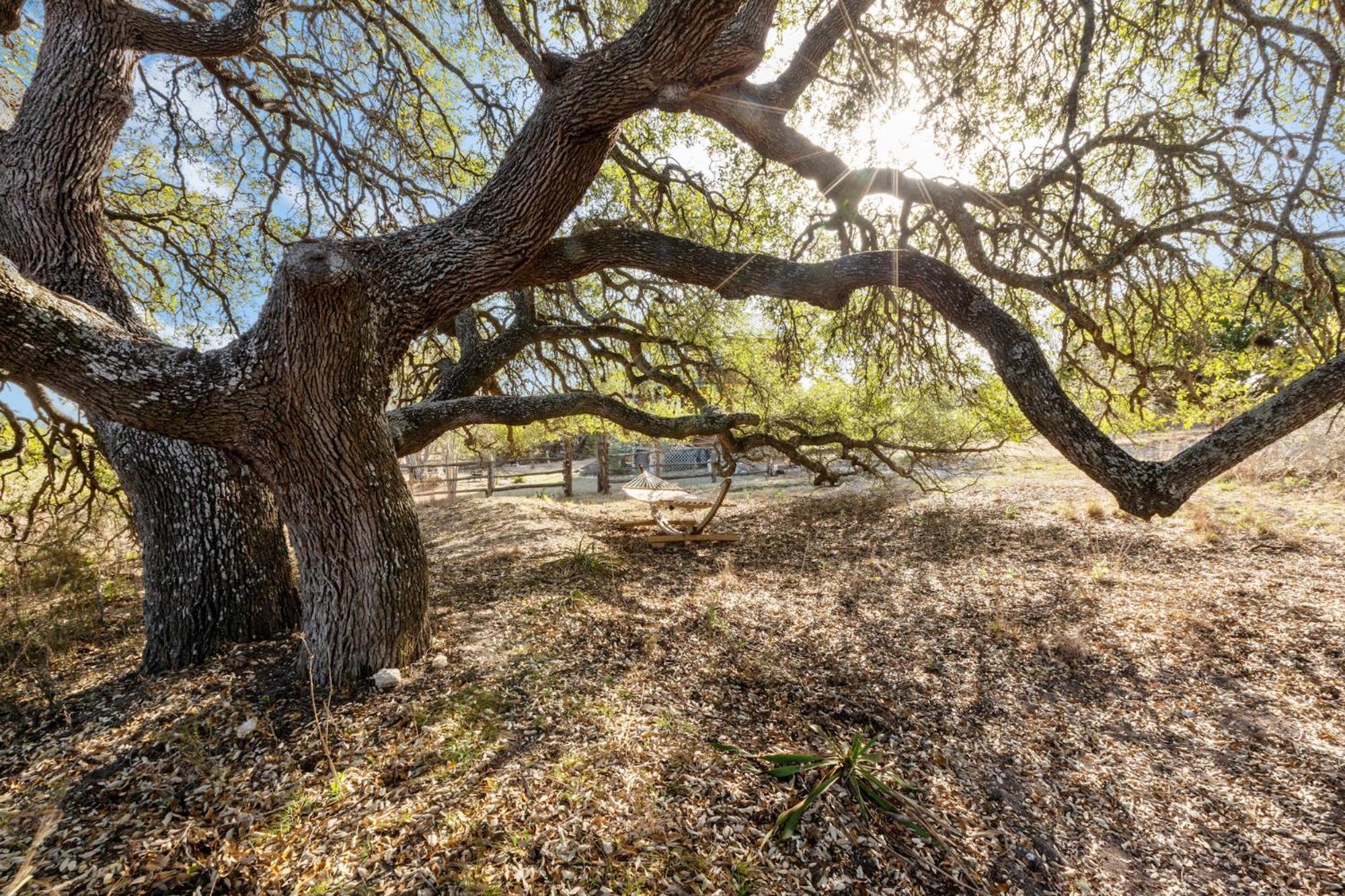 Mighty Oak Log Cabin 弗雷德里克斯堡 外观 照片